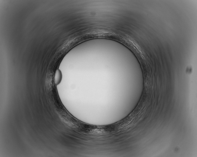 X0000101200119200806270839