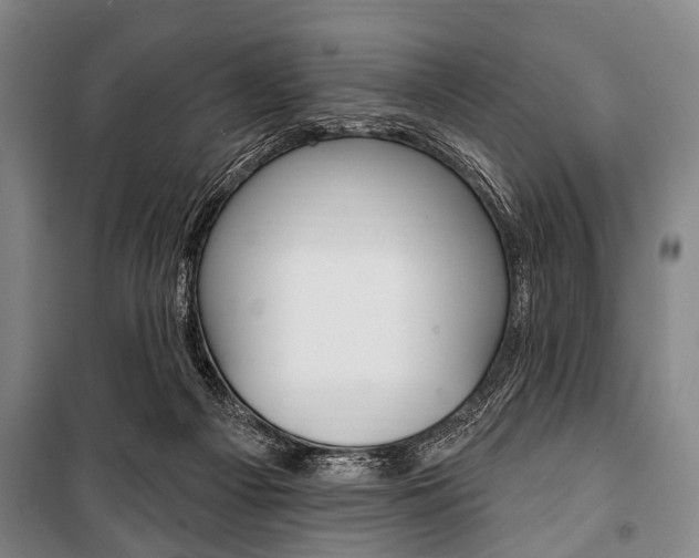 X0000101200121200806270839