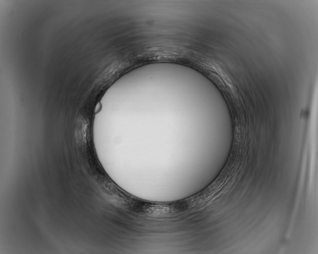 X0000101200123200806270839