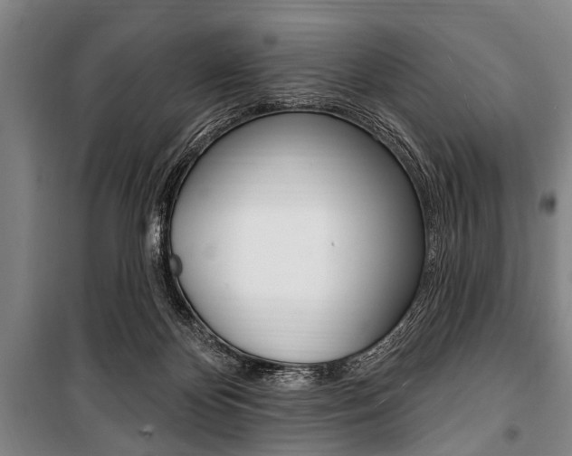 X0000101200124200806270839