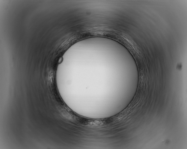 X0000101200125200806270839