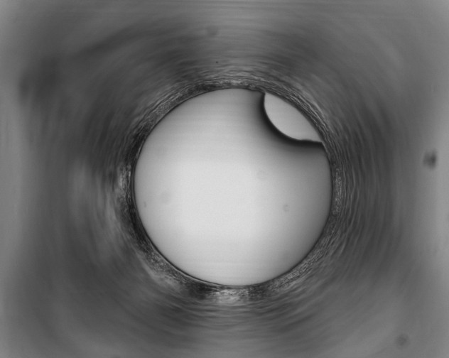 X0000101200126200806270838
