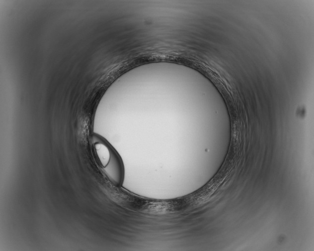 X0000101200127200806270838