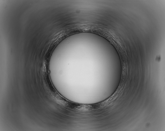 X0000101200128200806270838