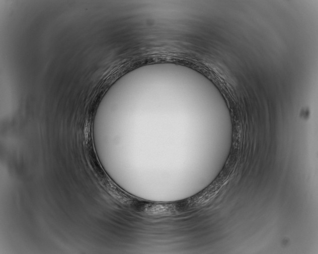 X0000101200129200806270838