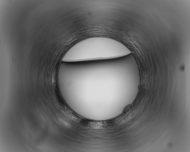 X0000101200131200806270838