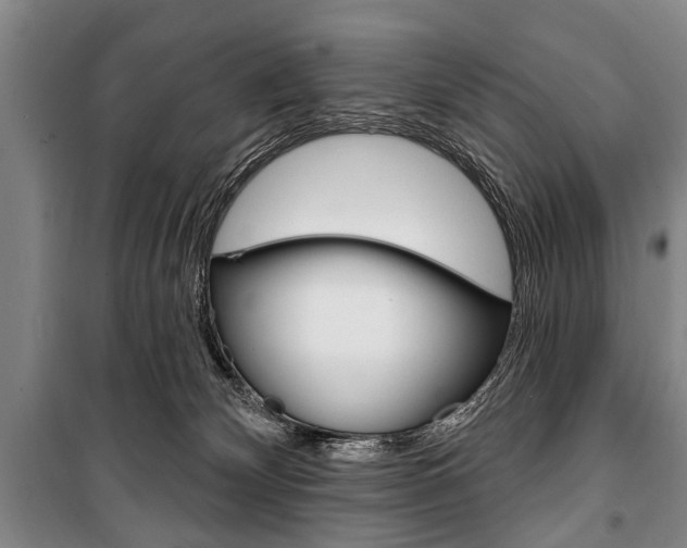 X0000101200132200806270838