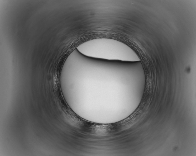 X0000101200134200806270838