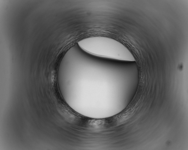 X0000101200135200806270838