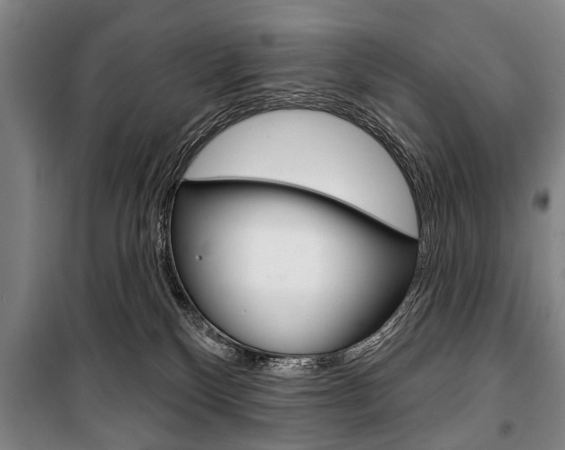 X0000101200136200806270838