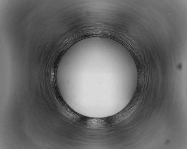 X0000101200137200806270838