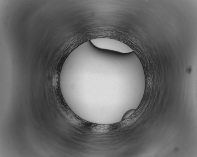 X0000101200138200806270838