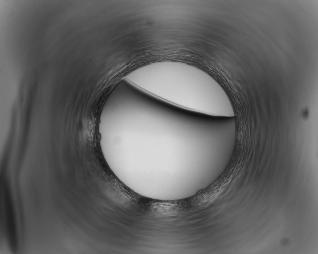 X0000101200139200806270838