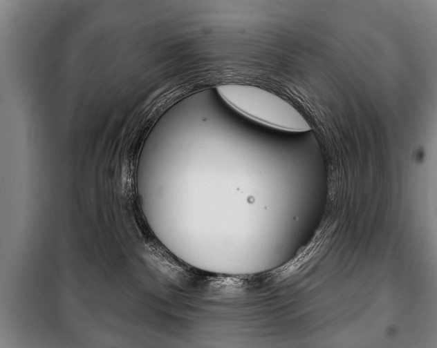 X0000101200140200806270838
