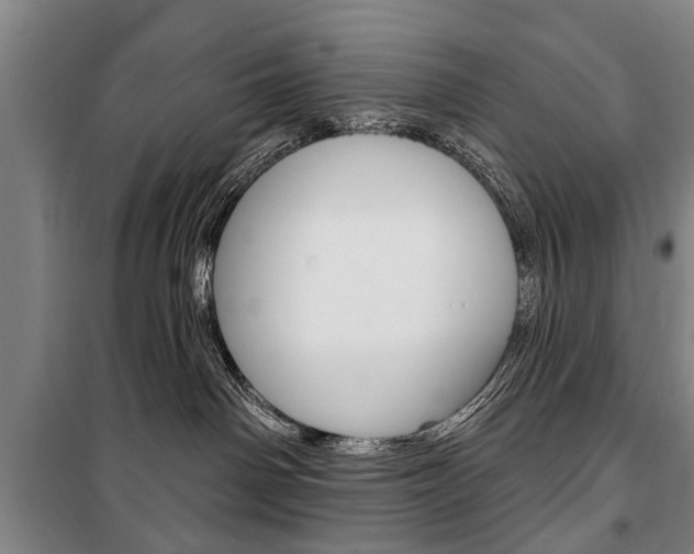 X0000101200142200806270838