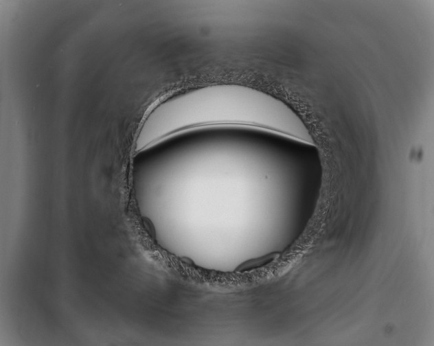 X0000101200144200806270838