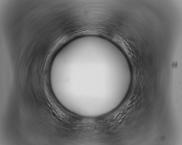X0000101200145200806270838