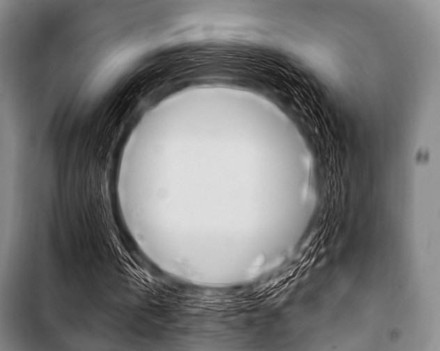 X0000101200146200806270838