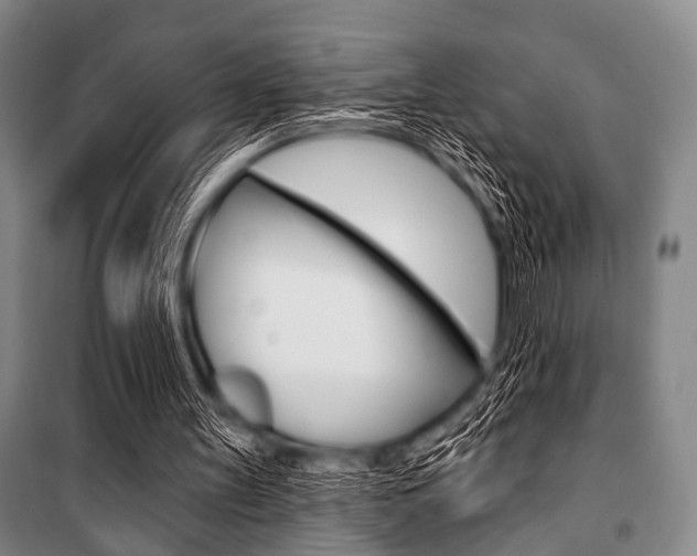 X0000101200147200806270838