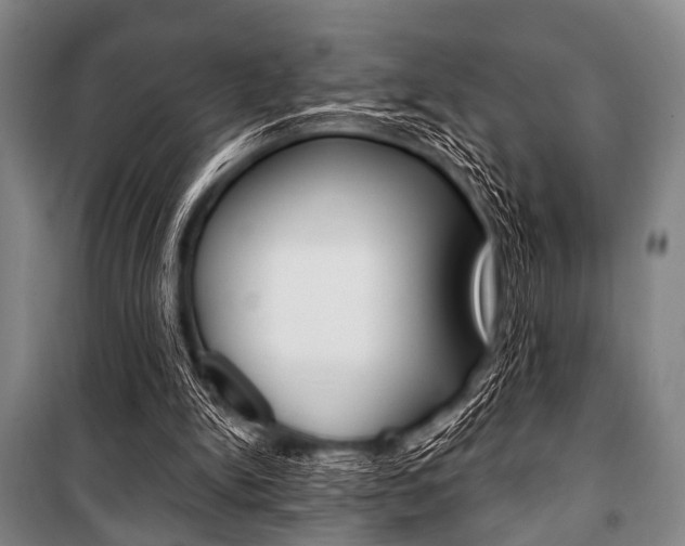 X0000101200150200806270838