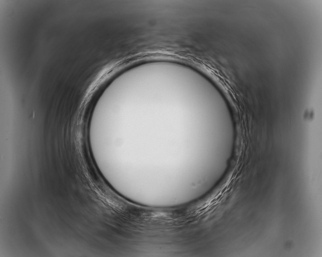 X0000101200151200806270838