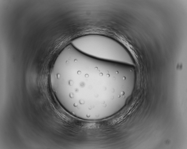 X0000101200153200806270838