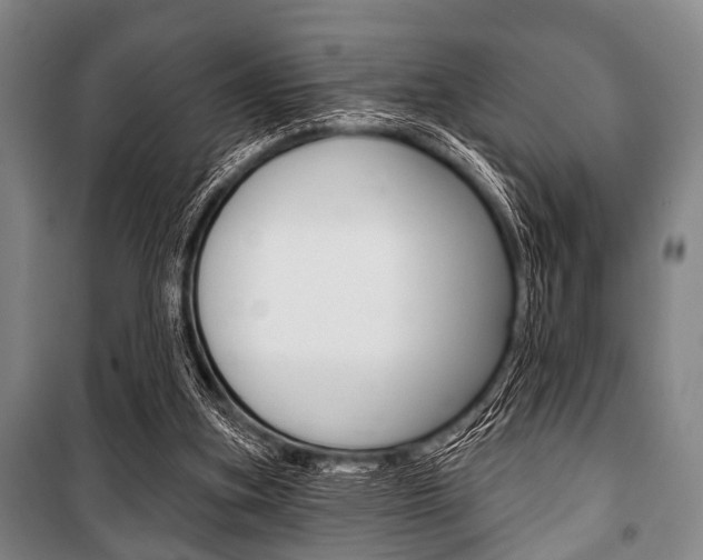 X0000101200155200806270838