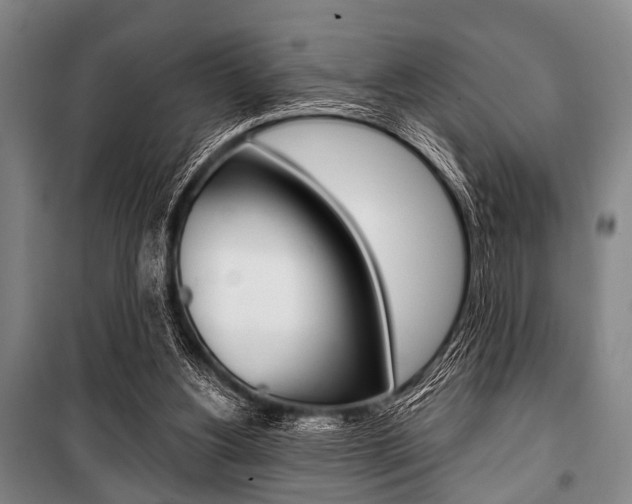 X0000101200156200806270838
