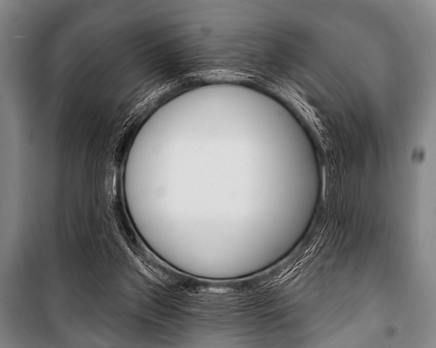 X0000101200157200806270838