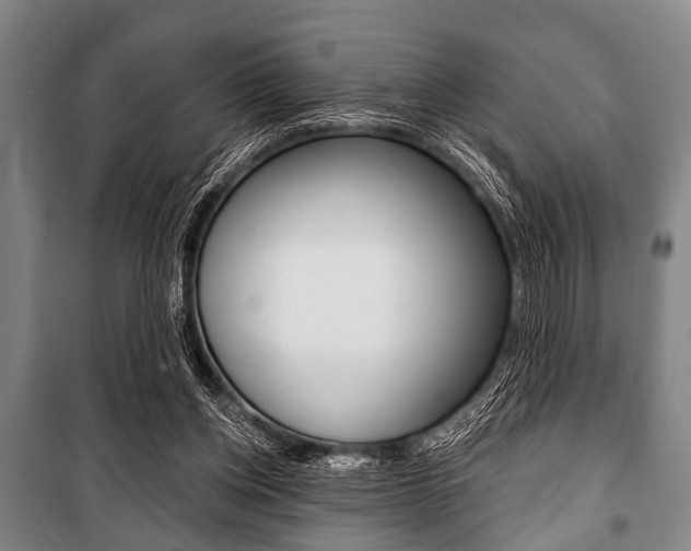 X0000101200158200806270838