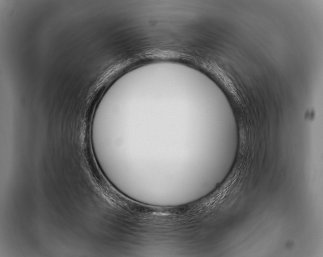 X0000101200159200806270838