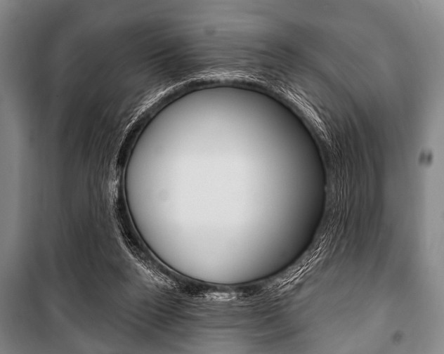 X0000101200160200806270838