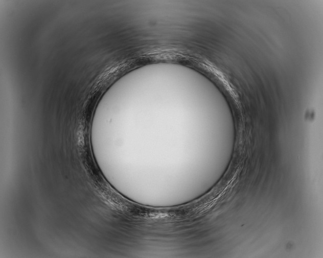X0000101200161200806270838