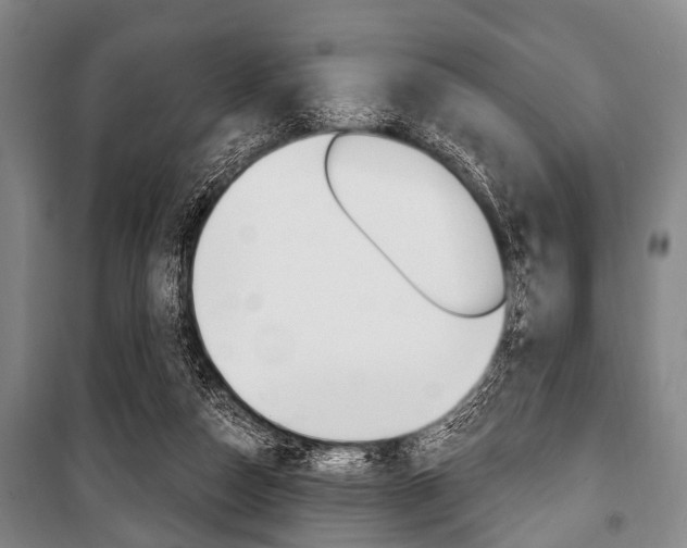 X0000101200162200806270838