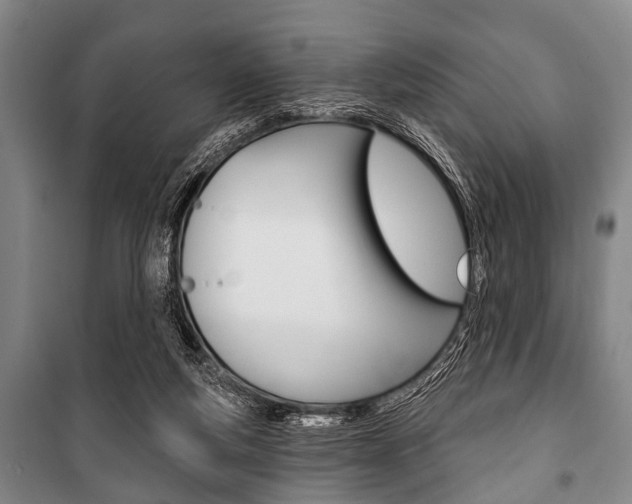 X0000101200163200806270838