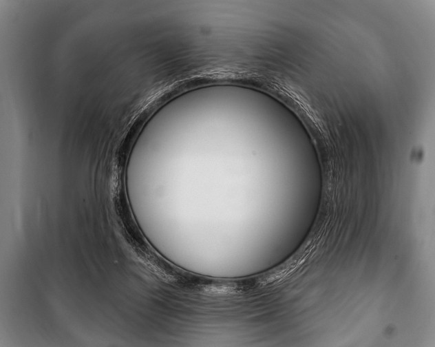 X0000101200164200806270838
