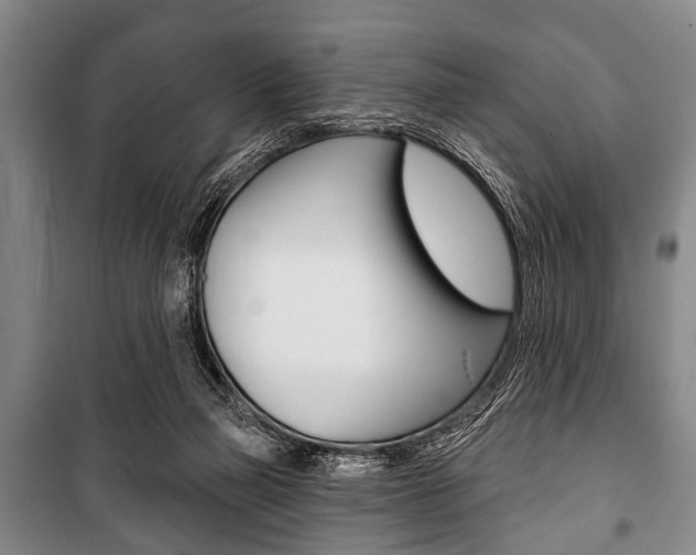 X0000101200165200806270838