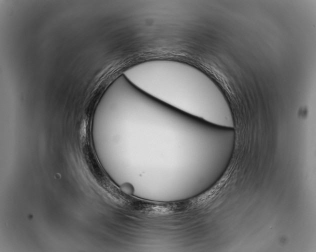 X0000101200166200806270838