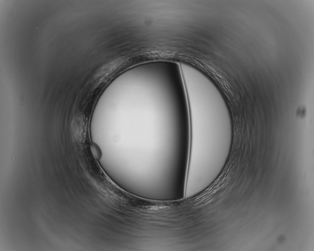 X0000101200168200806270838