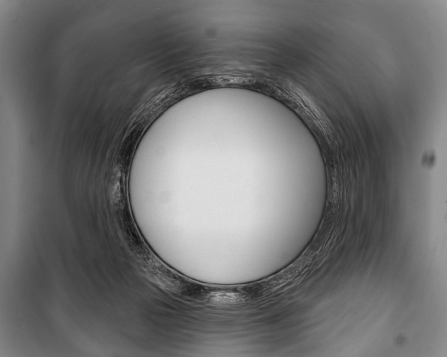 X0000101200169200806270838