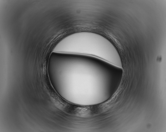 X0000101200170200806270838