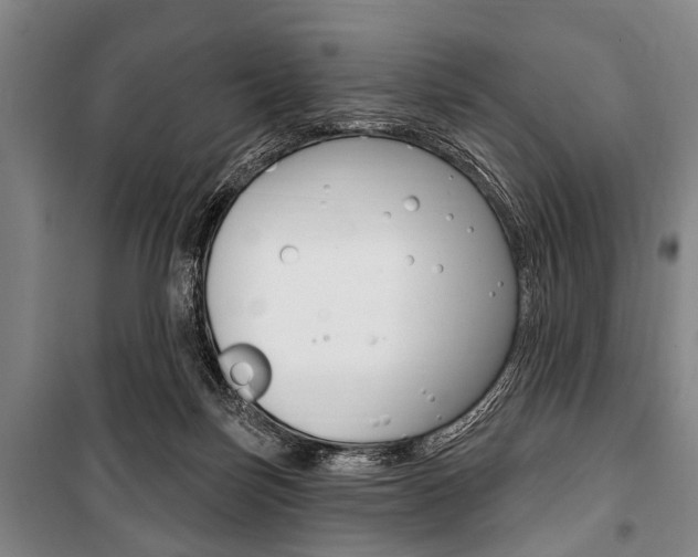 X0000101200171200806270838