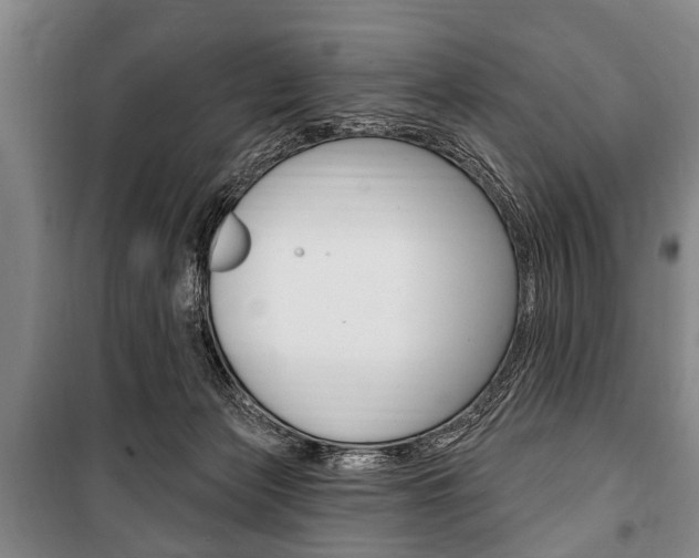 X0000101200173200806270838