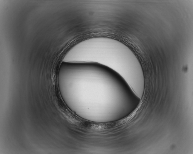 X0000101200174200806270838