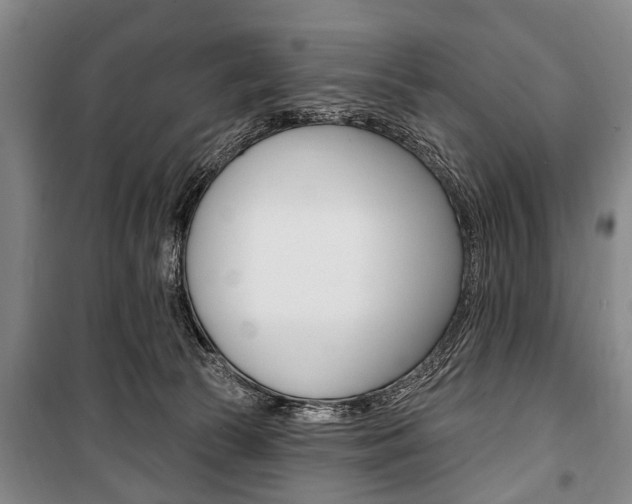 X0000101200177200806270838