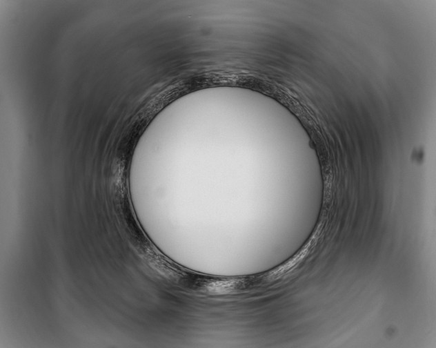 X0000101200178200806270838
