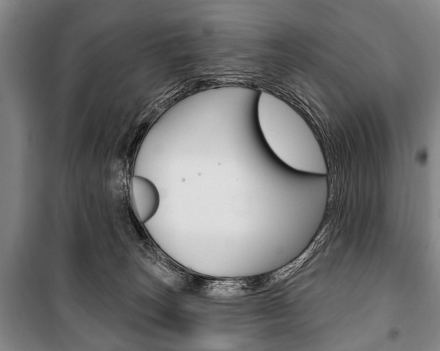 X0000101200179200806270838