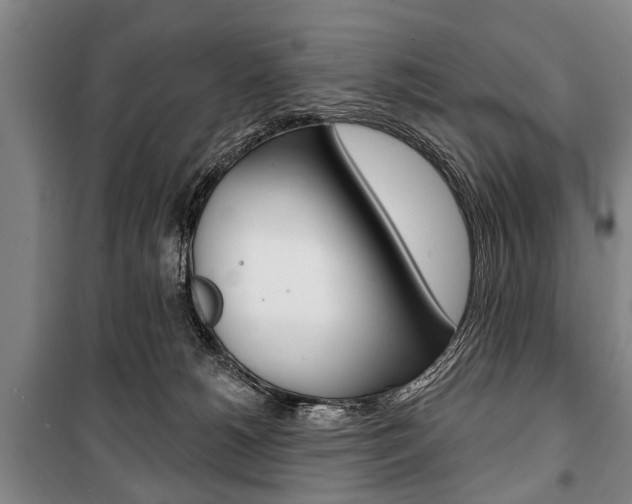 X0000101200180200806270838