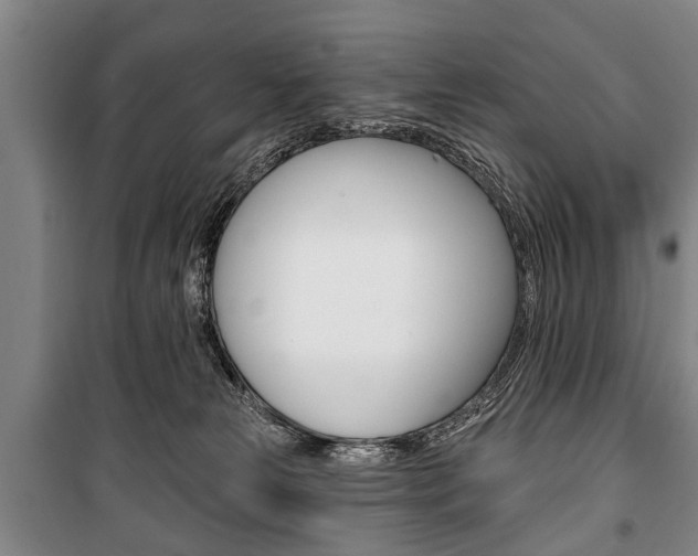 X0000101200181200806270838