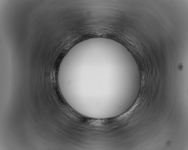 X0000101200182200806270838